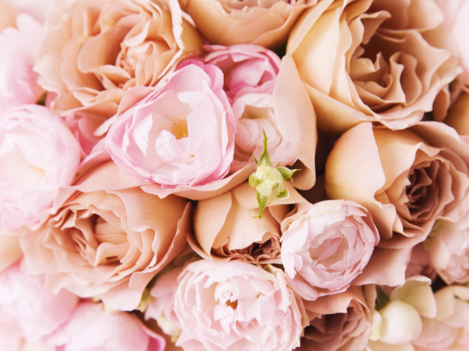 397934 (a): :2560x1920